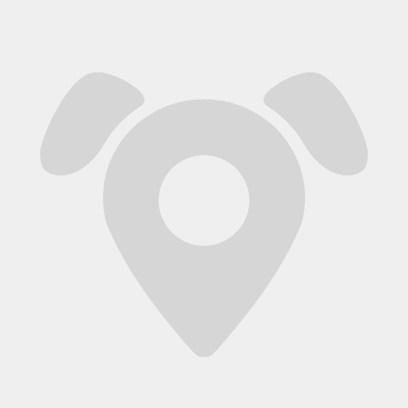 Scoop Maps Profile Photo